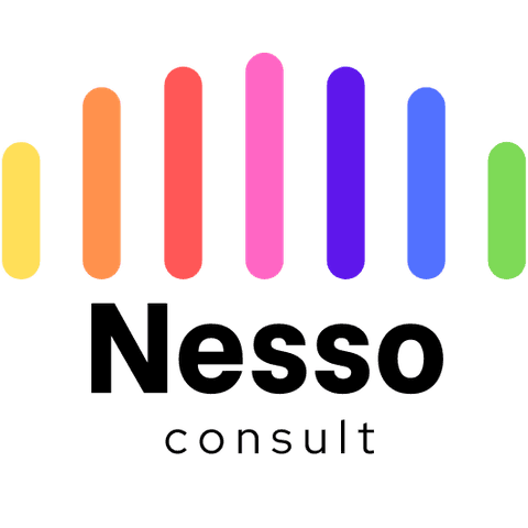 Nesso Consult logo