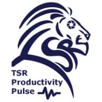 Productivity Pulse logo
