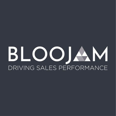 Bloojam Consulting Ltd logo