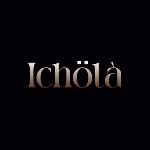 Ichota Limited logo