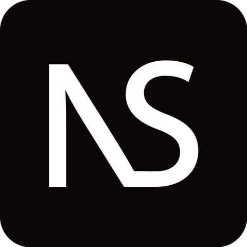 North Star Public Affairs logo